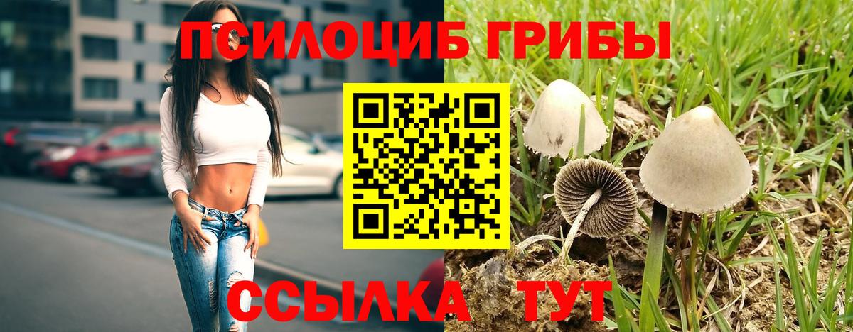 Псилоцибиновые грибы мухоморы Нововоронеж