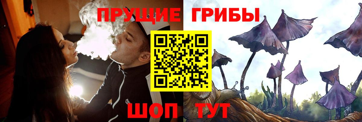Галлюциногенные грибы мицелий  Вход с VPN  наркошоп  Нововоронеж 