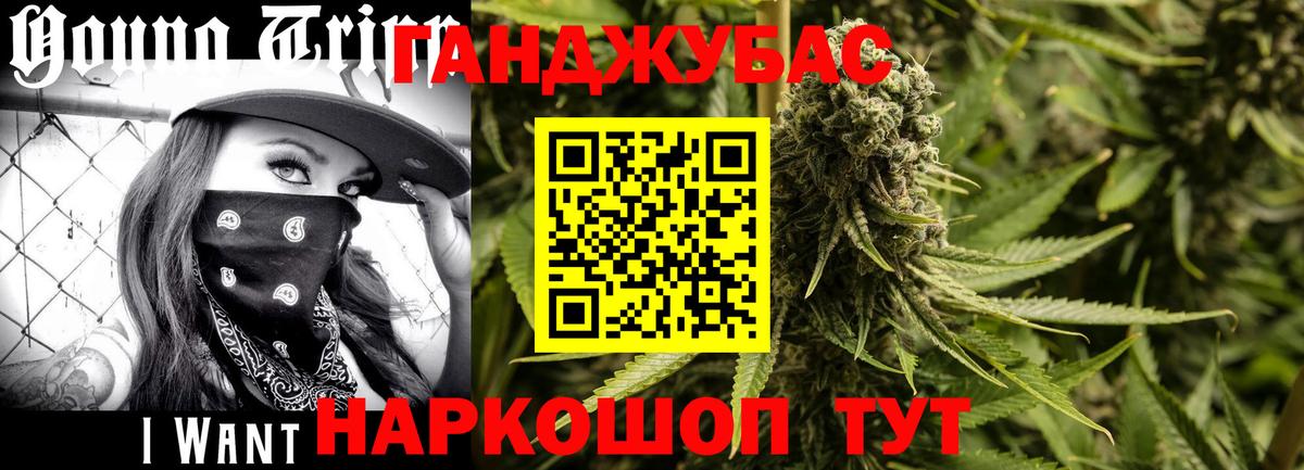 Канабис гибрид Нововоронеж